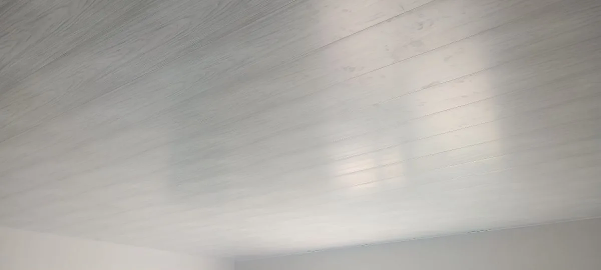 Nico 6