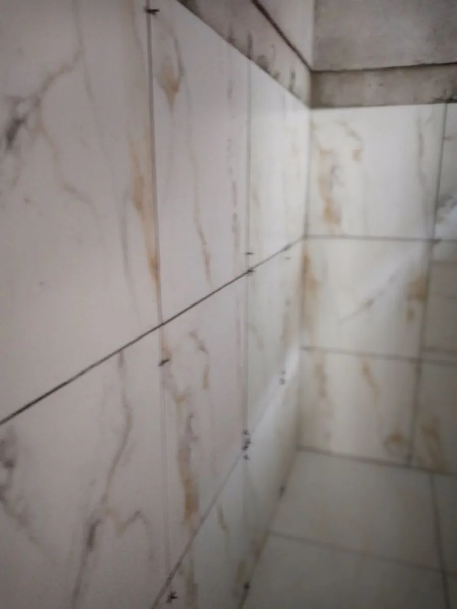 dardo construcciones 4
