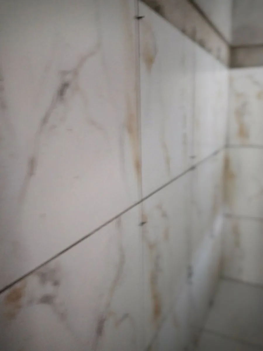 dardo construcciones 8