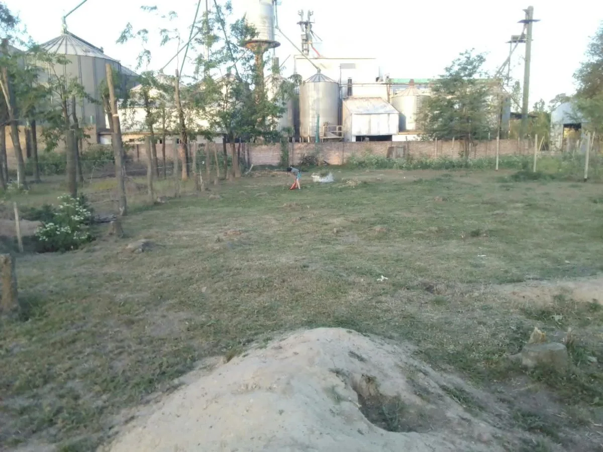 parques y jardines y piletas 7