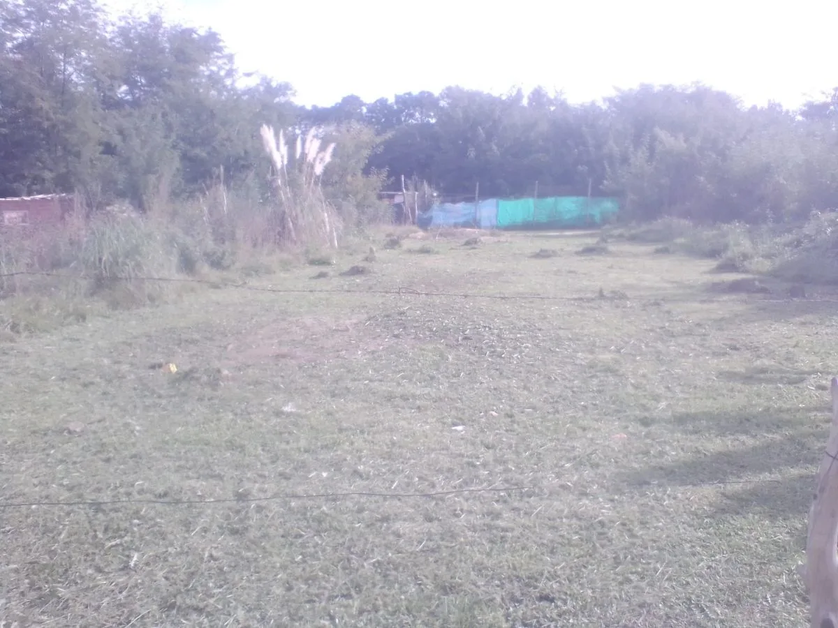 parques y jardines y piletas 8