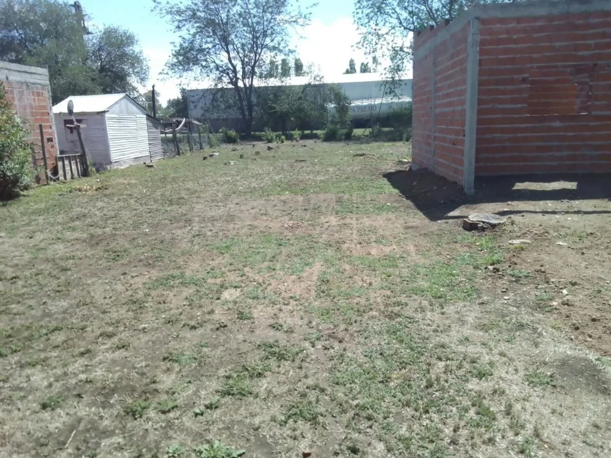 parques y jardines y piletas 9