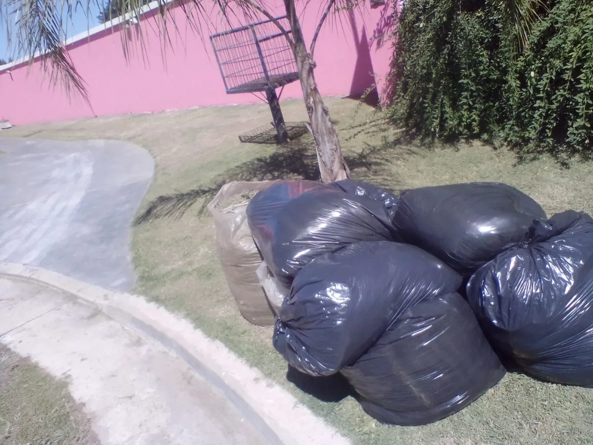 parques y jardines y piletas 10