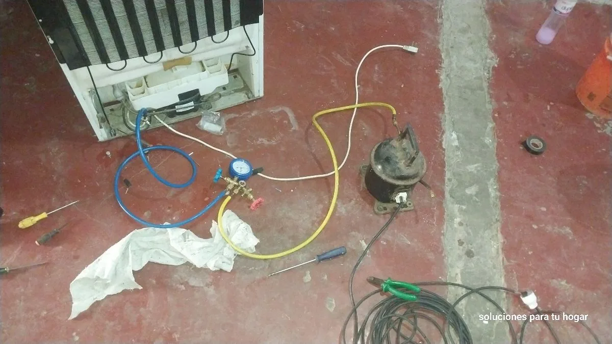 Soluciones capibara 12