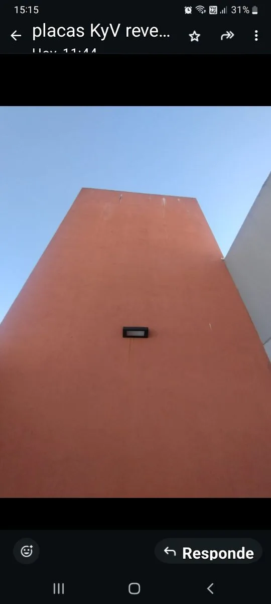 Roberto 7