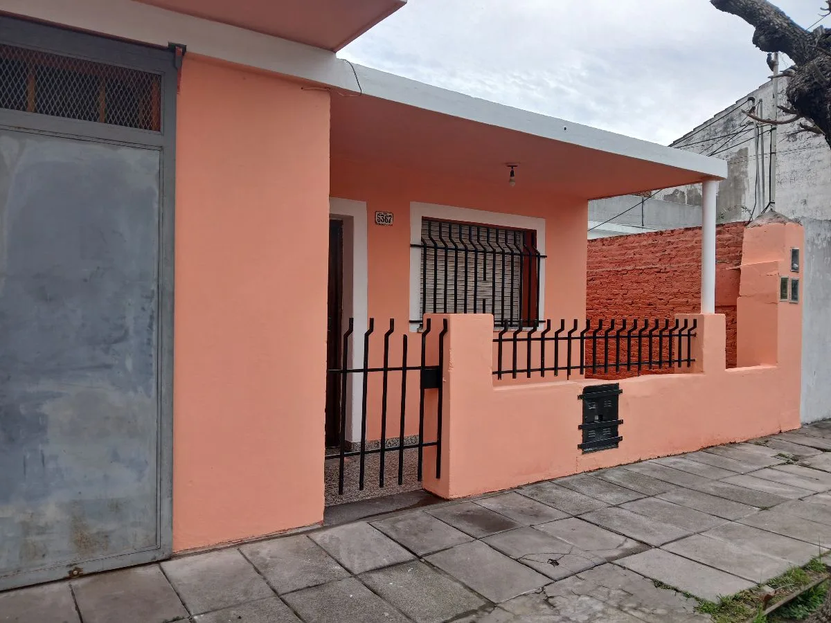 Dario 5