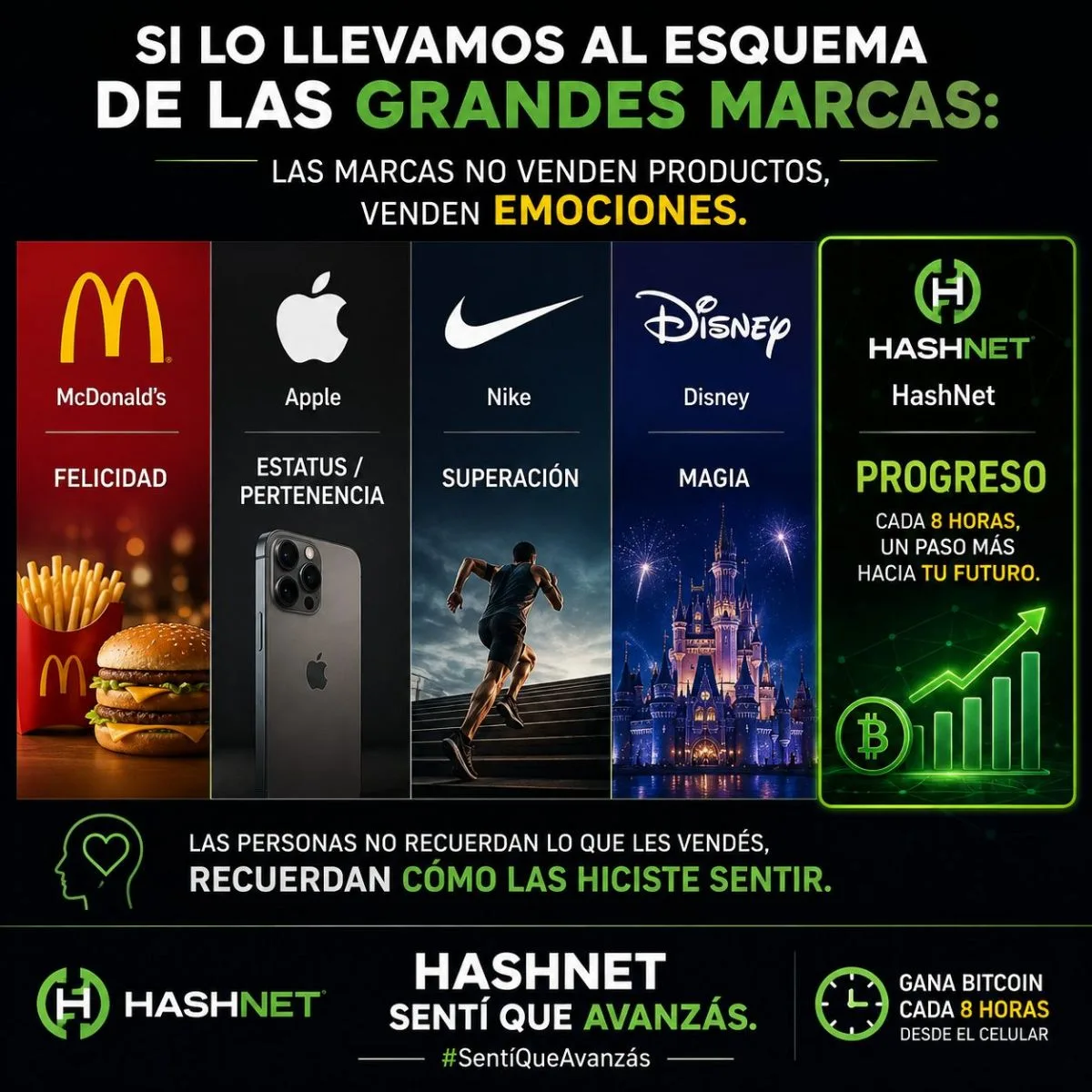 Mineria Multiple Bitcoin Comercial 5