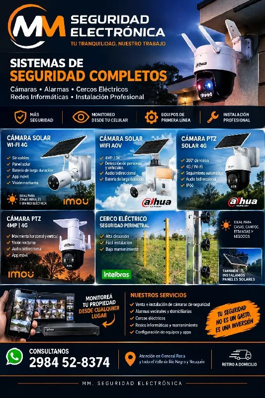 mm.seguridad.electronica