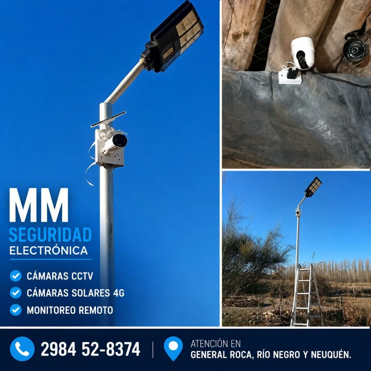 mm.seguridad.electronica 5