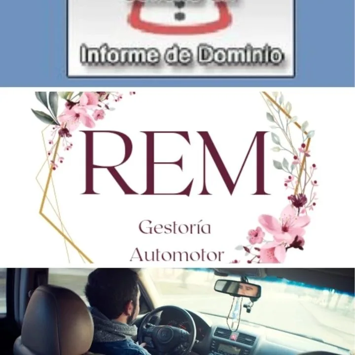 REM gestoria automotor 4