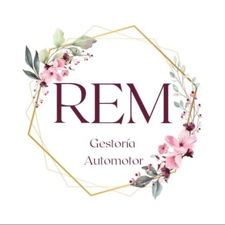 REM gestoria automotor 6