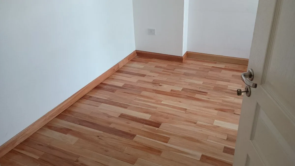 oficial albañil 5
