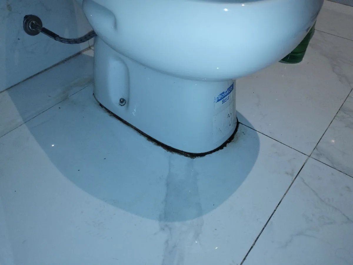 Soluciones INTEGRAL 360° 5