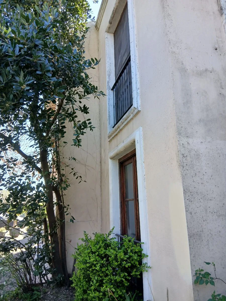Nicolás 12