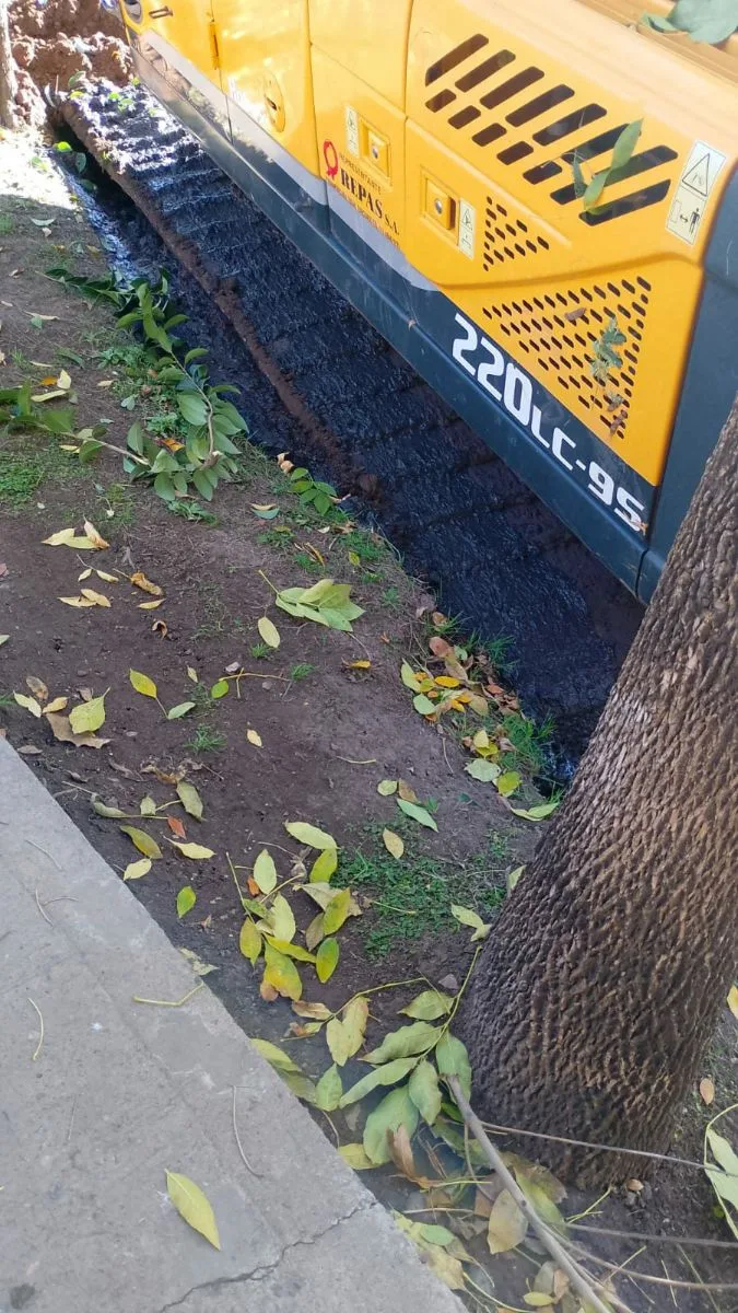 camionero maquinista vial 4