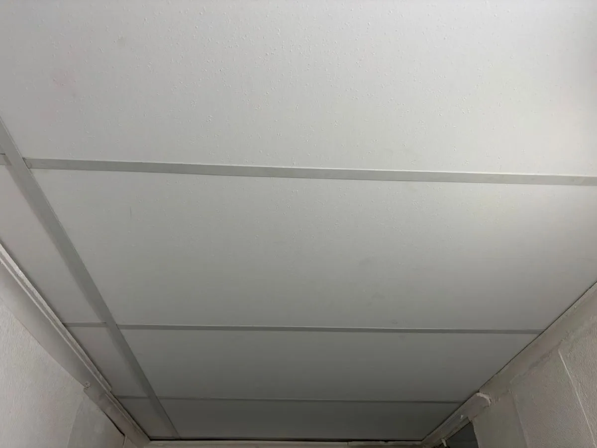 boss servicios y construcciones 10