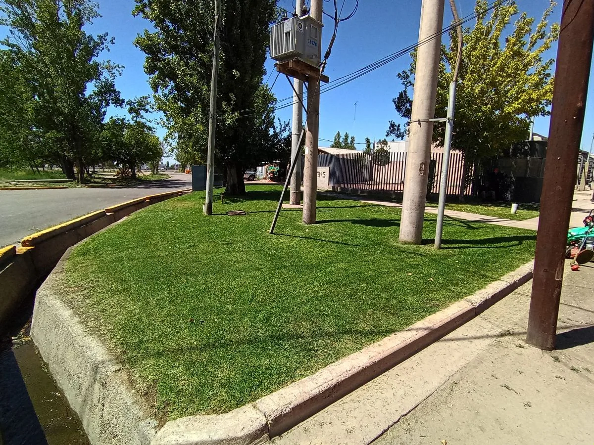 Jardineria Cristian 6