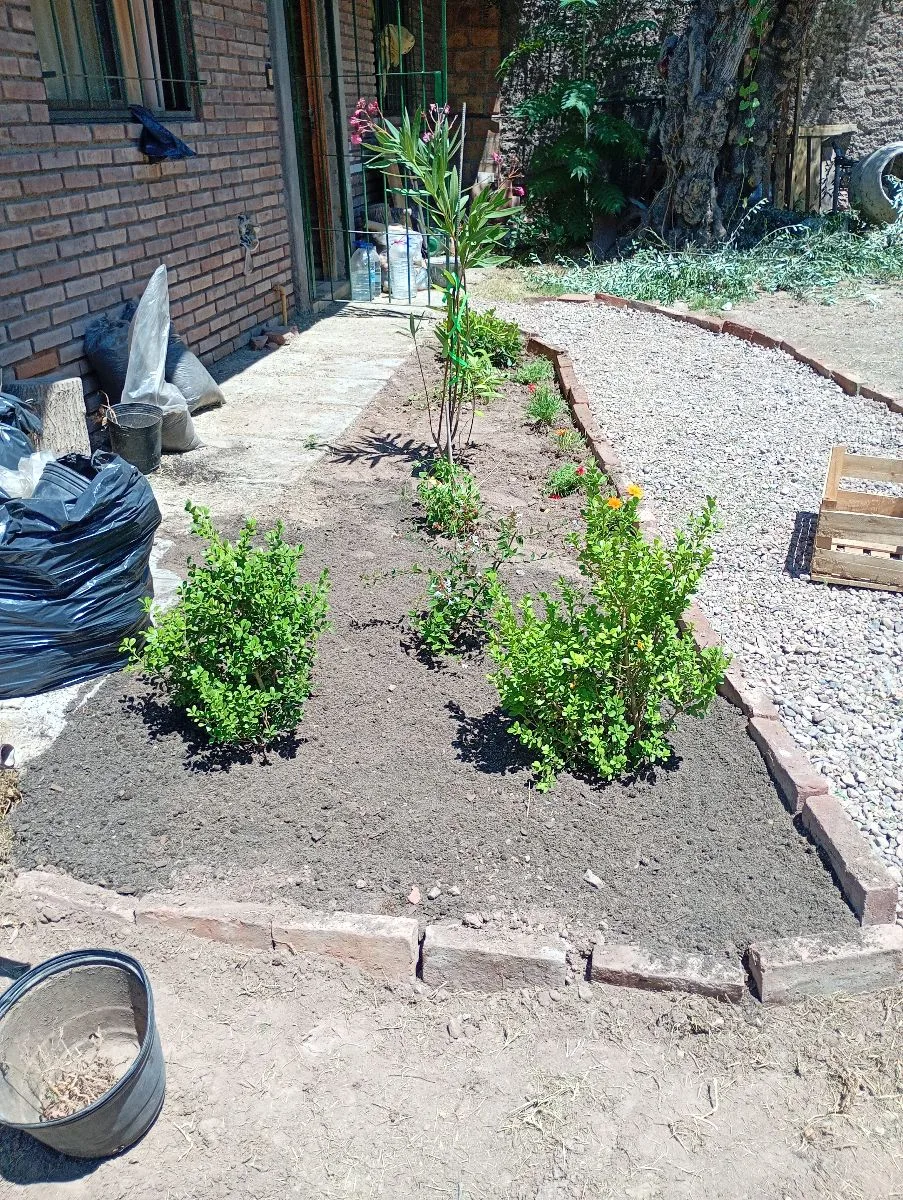 Jardineria Cristian 12