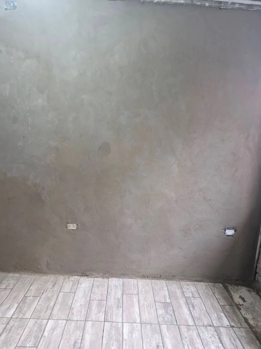 Soy albañil oficial y pintor oficial 6