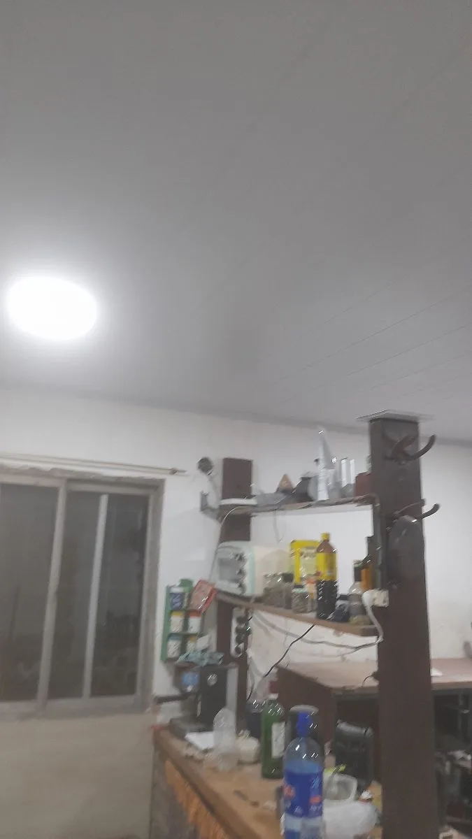 alberto 6