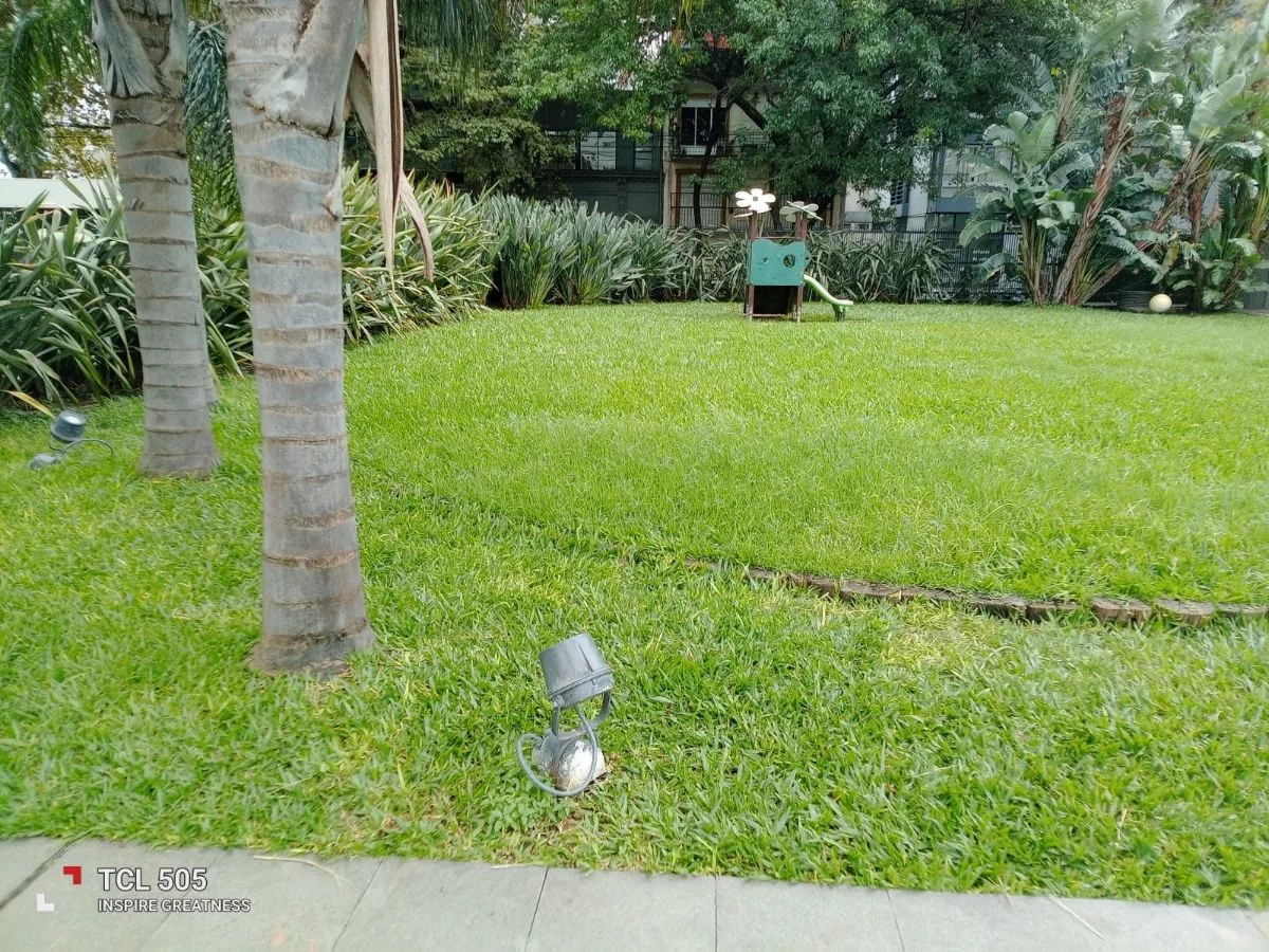 limpieza piletas y jardineria angel 4