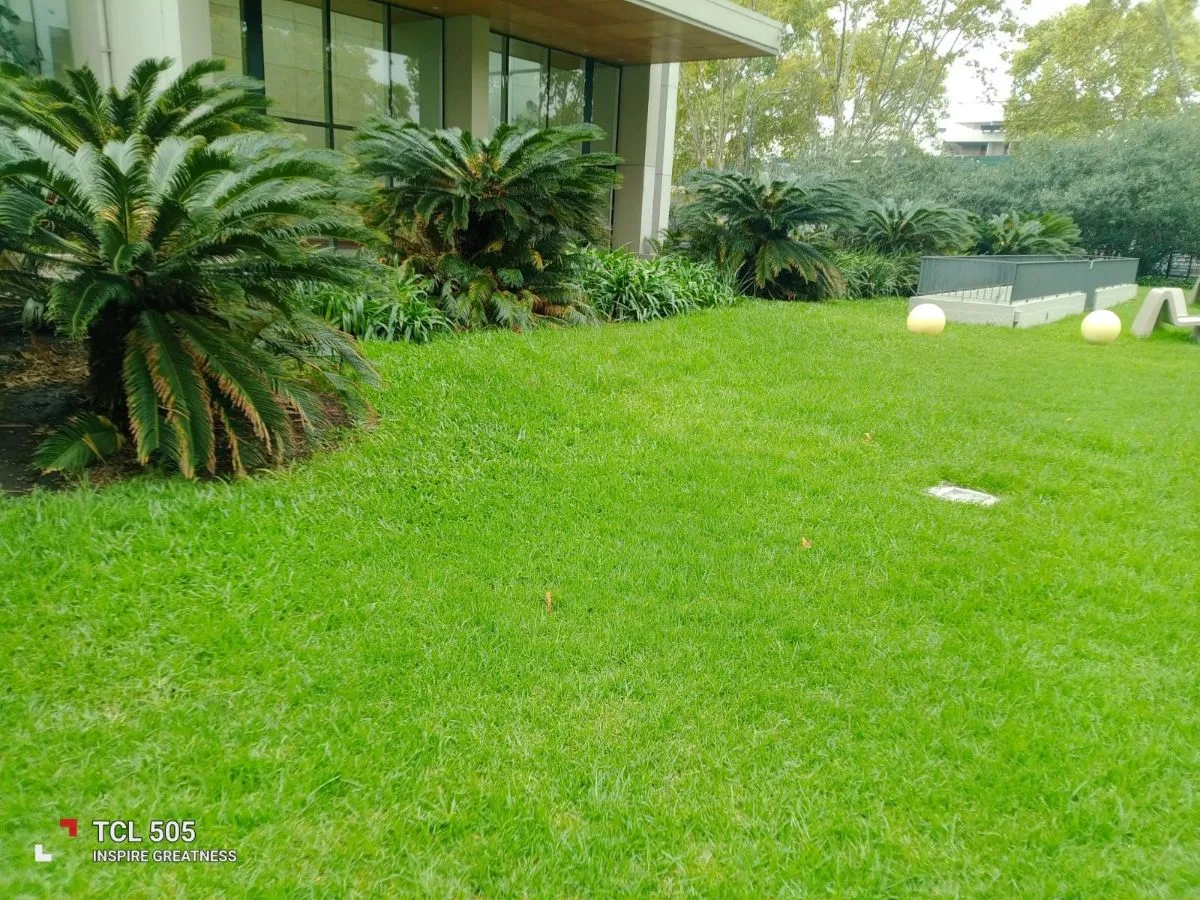 limpieza piletas y jardineria angel 11