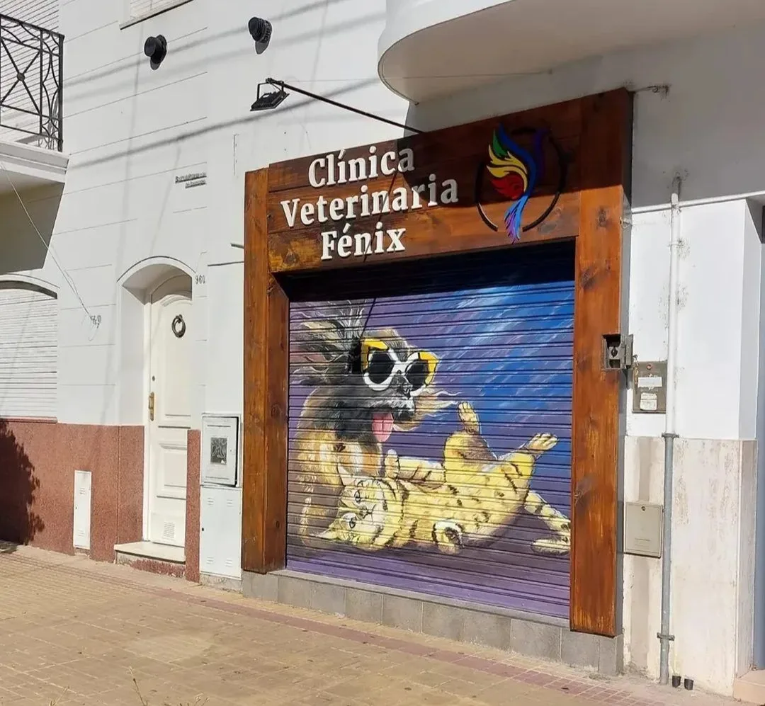 artista visual 12