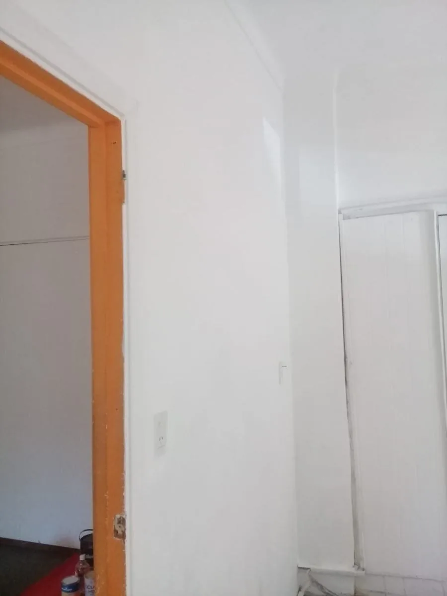 Pintor 5