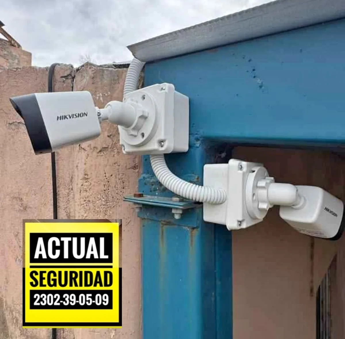 ACTUAL SEGURIDAD 5