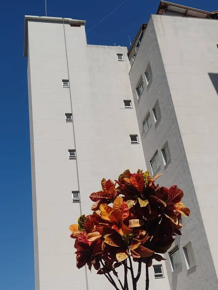 Vertiacces 11
