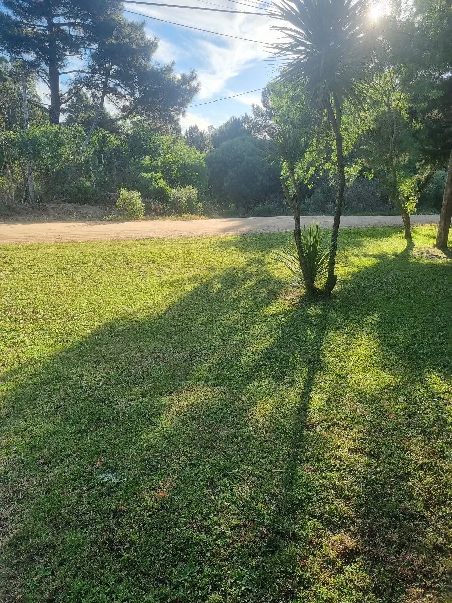 Mantenimientos Casa y jardin 5