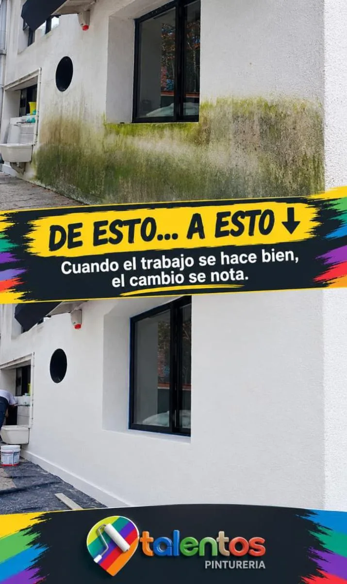 Talentos Reformas Integrales 5