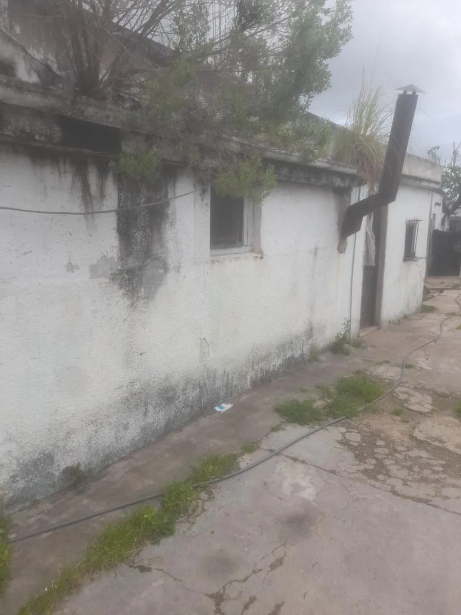 electresista y albañeleria J.L 11